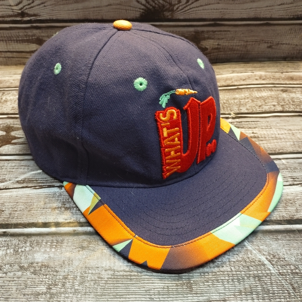 Space Jam Air Jordan Hat Jump Man Youth Cap Purple What's Up Jock